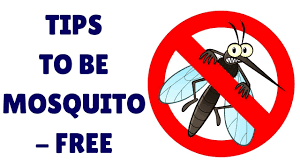 2-MOSQUITO-STOP Tips to be Mosquito-Free