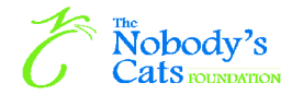 The Nobody's Cats Foundation